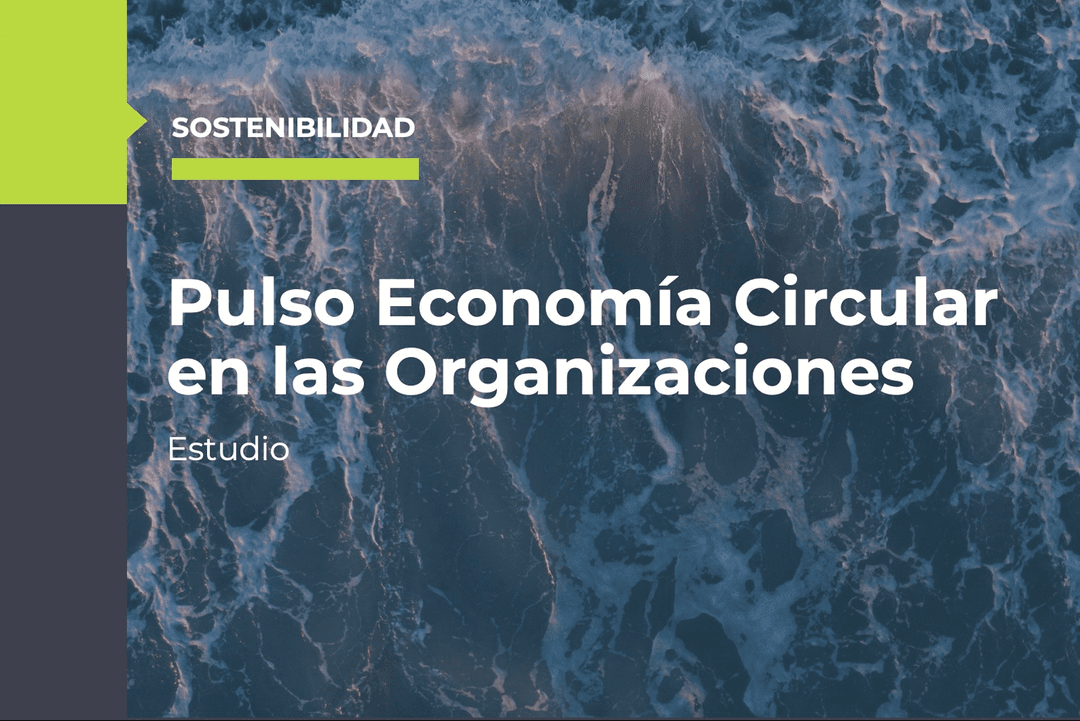 Pulso Economía Circular 